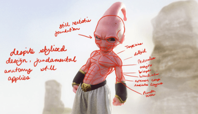 vitorugo anatomy analysis